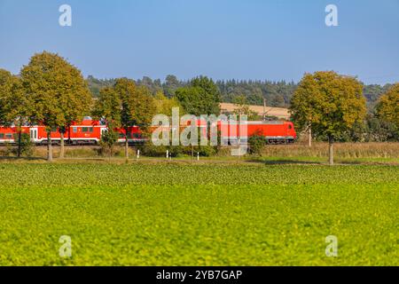 Panorama con locomotiva elettrica rossa e vagoni passeggeri. Foto di alta qualità Foto Stock