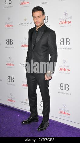 Liam Payne al Caudwell Children Butterfly Ball 2019, Grosvenor House Hotel, Park Lane, Londra, Inghilterra, UK, giovedì 13 giugno 2019.CAP/CAN ©CA Foto Stock