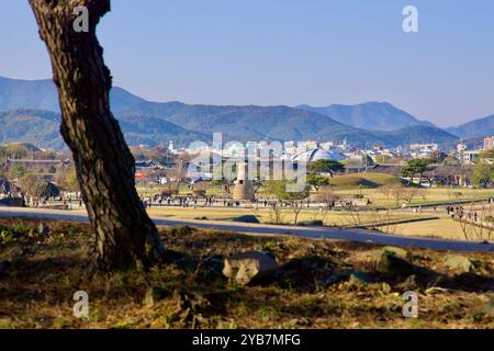 Gyeongju City, Corea del Sud - 11 novembre 2023: L'Osservatorio Cheomseongdae, situato al centro di un vasto parco a Gyeongju, è incorniciato da alberi e. Foto Stock
