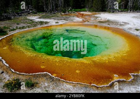 La sorgente calda della colorata Morning Glory Pool si trova nell'Upper Geyser Basin di Yellowstone, negli Stati Uniti Foto Stock