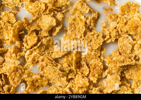 Cereali per colazione con spezie di zucca sane e latte intero Foto Stock