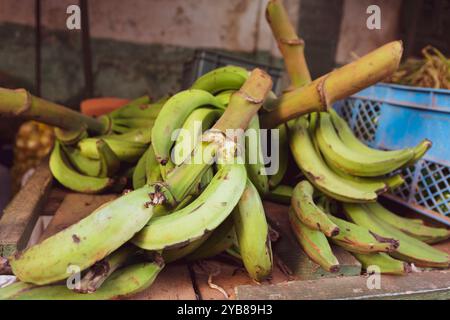 Piantana banane al mercato agricolo cubano Foto Stock