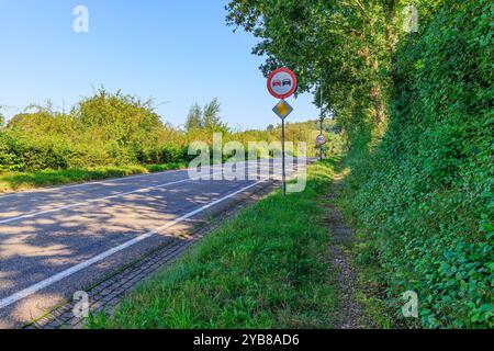 Strada provinciale vuota con segnaletica stradale: Divieto di sorpasso, strada prioritaria e velocità massima di 60 km, fogliame verde contro cielo blu in fondo sfocato Foto Stock