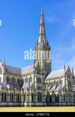 Cattedrale di Salisbury nella Cattedrale vicino Salisbury Wiltshire Inghilterra Regno Unito GB Europa vista laterale Foto Stock