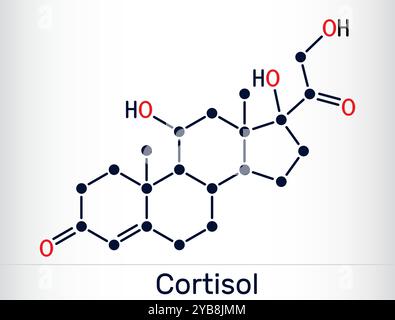 Cortisolo, molecola steroide idrocortisone. Ormone dello stress coinvolto nel metabolismo e nella risposta immunitaria. Struttura chimica. Illustrazione vettoriale Illustrazione Vettoriale