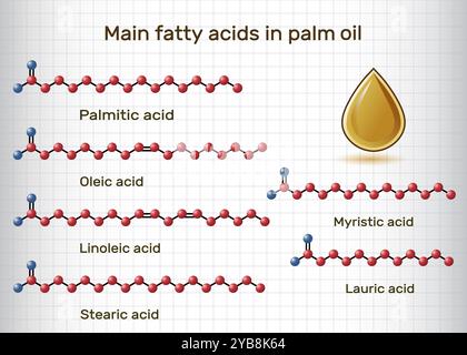Acidi grassi principali nell'olio di palma. Palmitico, stearico, oleico, linoleico, miristico, molecola di acidi laurici. Foglio di carta in gabbia. Illustrazione vettoriale Illustrazione Vettoriale