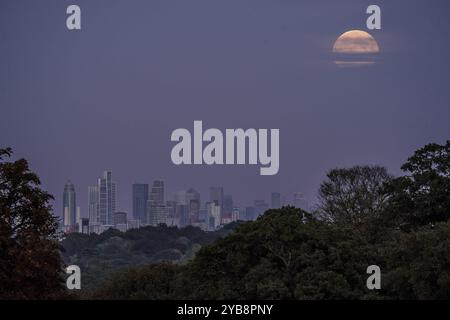 Londra, Regno Unito. 17 ottobre 2024. Meteo nel Regno Unito: Super Hunters Moon sorge sopra la città vedere dal Richmond Park. La Luna piena di Octobers, conosciuta come la Luna dei Cacciatori, è anche una Superluna che si verifica quando la Luna è più vicina alla Terra, apparendo più grande e luminosa del normale - fino al 15% più luminosa e 30% più grande delle normali lune piene. Quest'anno la Luna apparirà piena per circa tre giorni e sarà la più luminosa di tutte le superlune di quest'anno. Crediti: Guy Corbishley/Alamy Live News Foto Stock