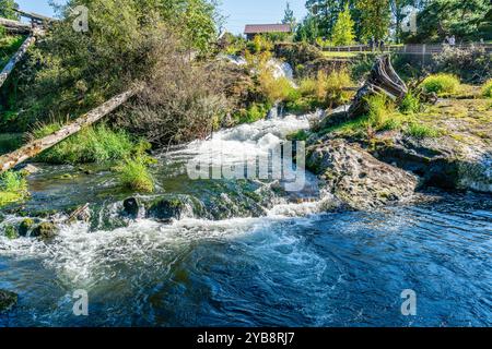 Vista di una cascata al Brewery Park di Tumwater, Washington. Foto Stock