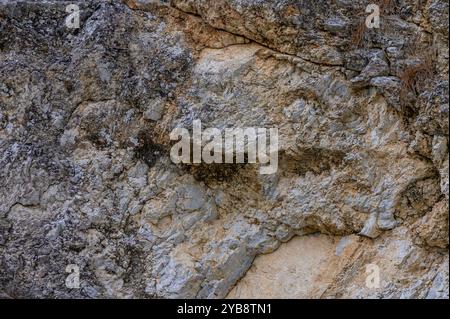 Un'impressionante formazione rocciosa naturale sembra assomigliare a un volto umano, mostrando texture e colori intricati in un ambiente esterno remoto sotto la luce Foto Stock