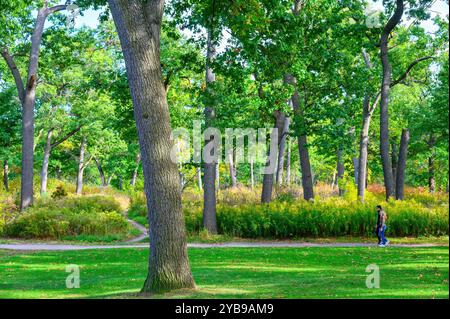 Toronto, Canada - 12 ottobre 2024: Persone che camminano in un'area boscosa di High Park, una famosa località della città. Foto Stock