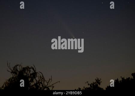 Londra, Regno Unito. 17 ottobre 2024. Meteo nel Regno Unito - la cometa Tsuchinshan-ATLAS (nota anche come C/2023 A3) è vista all'orizzonte sopra Rickmansworth, a nord-ovest di Londra. Scoperta nel gennaio 2023 dagli astronomi dell'Osservatorio cinese Tsuchinshan (Purple Mountain) e del telescopio Asteroid Terrestrial-Impact Last Alert System (ATLAS) del Sud Africa, la cometa si trova nella sua posizione più vicina alla Terra (circa 44 milioni di miglia/71 milioni di km) e orbita intorno al sole ogni 80.000 anni. Si tratta di una cometa di lungo periodo della nube di Oort, parte del sistema solare che ospita milioni di comete. Crediti: Stephen Chung / Alamy Live News Foto Stock