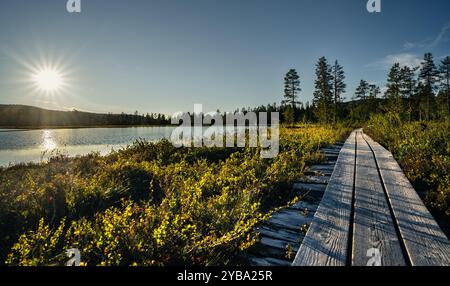 Un tranquillo sentiero in legno conduce attraverso la palude, accanto a un lago tranquillo, illuminato da raggi di sole durante l'ora d'oro in estate, Idre, Dalarna, Svezia Foto Stock