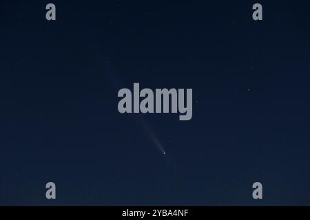 Leopoli, Leopoli, Ucraina. 17 ottobre 2024. 17 ottobre 2024 - Ucraina: Cometa C/2023 A3 (Tsuchinshan-ATLAS) appare nel cielo. La cometa nota anche come Cometa A3, si trova a circa 44 milioni di miglia dalla Terra e probabilmente ha avuto origine dalla nuvola di Oort. E' passata l'ultima volta sulla Terra 80.000 anni fa. (Credit Image: © Artur Abramiv/ZUMA Press Wire) SOLO PER USO EDITORIALE! Non per USO commerciale! Foto Stock