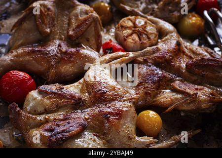 Carne di quaglia grigliata, su un piatto, tabacco, in forno, con spezie, fatto in casa, senza persone Foto Stock