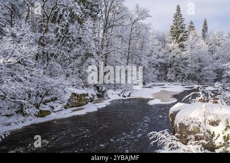 Fiume in una foresta con neve e ghiaccio e gelo sugli alberi una fredda giornata invernale Foto Stock