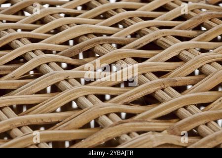 Consistenza di salice marrone su sfondo bianco Foto Stock