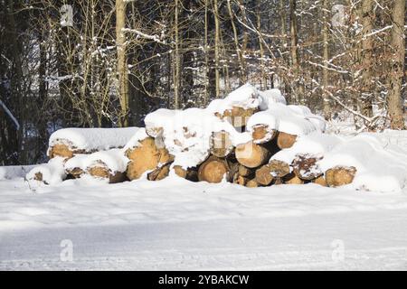 Holzstapel im Winter im Thueringer Wald, Woodpile in inverno nella foresta della Turingia Foto Stock