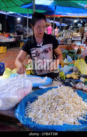 Una donna che vende verdure, spezie e farina di riso al vapore nel mercato mattutino. Luang Prabang. Laos Foto Stock