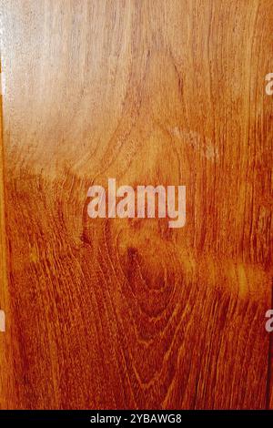 Vista ravvicinata del pannello di legno lucido che mostra i grani Foto Stock