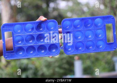 Scatola di plastica vuota con fessure per tenere le uova in mano. Vassoio per conservare le uova Foto Stock