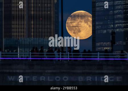 Londra, Regno Unito. 17 ottobre 2024. La gente attraversa il Waterloo Bridge mentre la luna piena sorge sul quartiere finanziario della capitale a Londra, in Gran Bretagna, il 17 ottobre 2024. Crediti: Stephen Chung/Xinhua/Alamy Live News Foto Stock