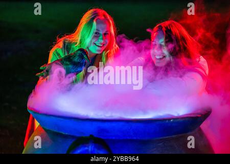 Londra, Regno Unito. 17 ottobre 2024. I visitatori esaminano il calderone delle streghe - Anteprima di un nuovo percorso luminoso di Halloween che trasforma i Kew Gardens. Halloween at Kew è un'escursione per visitatori di tutte le età, da venerdì 18 ottobre a domenica 3 novembre 2024. Crediti: Guy Bell/Alamy Live News Foto Stock