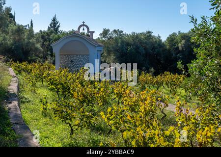 Lefkada, Grecia- 10.02.2024. La piccola chiesa commemorativa di Sant'Antonio costruita all'interno di un vigneto. Foto Stock