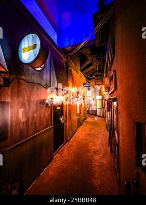 Museo Shin-Yokohama Ramen a Yokohama, Giappone Foto Stock