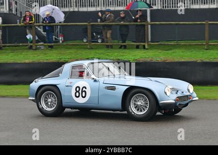 Mike Whitaker, Tom Ingram, TVR Griffith 400, Royal Automobile Club TT Celebration, un'ora di corse con due piloti, un pit stop obbligatorio, con Foto Stock