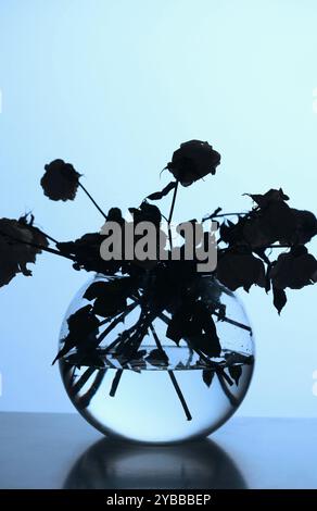 Silhouette di rose appassite in un vaso di vetro Foto Stock