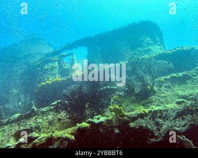 Naufragio sottomarino in mare, Kingstown, Saint Vincent e Grenadine Foto Stock