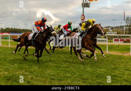 Aalborg, Danimarca, galoppo a cavallo poco più del traguardo Foto Stock