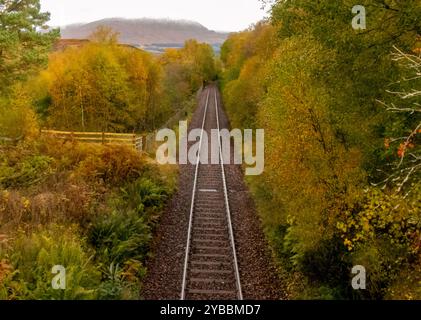 Tratto della remota linea ferroviaria delle Highland occidentali circondato da alberi e montagne in autunno Foto Stock