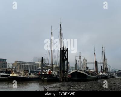 Passeggiata mattutina lungo il litorale vicino al Tower Bridge e all'Hermitage Moorings a Wapping, Londra, regno unito. Foto Stock