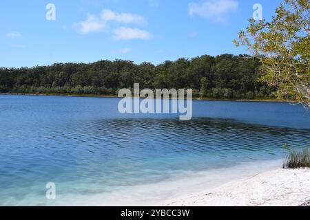 Lago Makenzie, Isola K'gari, Australia Foto Stock