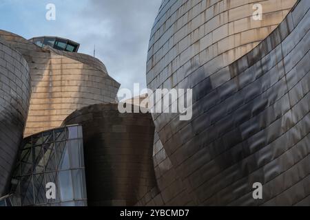 Museo Guggenheim Bilbao, Bilbao, Paesi Baschi, Spagna, Europa Foto Stock