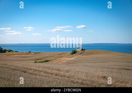 Tranquil Coastal Field sotto Clear Blue Sky in danimarca Foto Stock