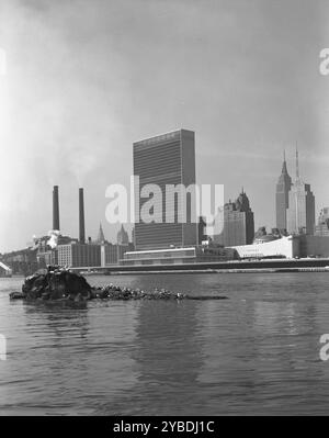 Edificio delle Nazioni Unite da Welfare Island III, 1952. Foto Stock