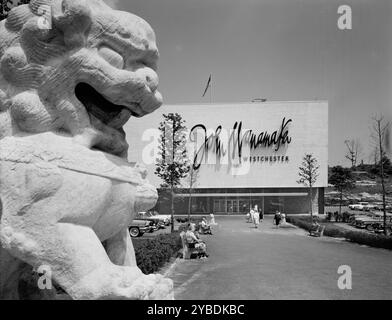 Centro commerciale Cross County, 1956. Foto Stock