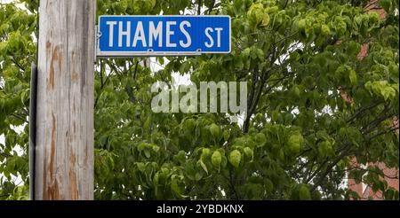 Thames Street insegna tra foglie lussureggianti a Newport Rhode Island. Foto Stock