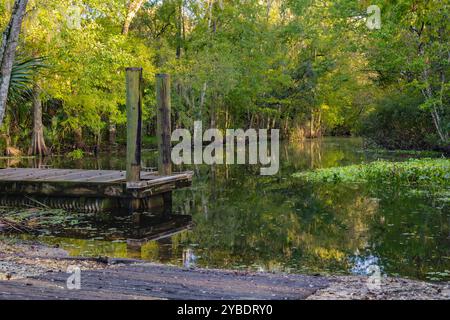 John B Sargeant Sr. Nature Conservation Park Lower Hillsborough Wilderness Preserve Boat Ramp and Fishing Dock Foto Stock