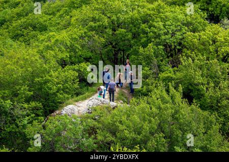 Gruppo di turisti sulla cima di una montagna in una fitta foresta verde Foto Stock