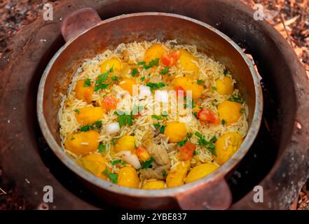 Piatto tradizionale brasiliano di pollo con pequi (caryocar brasiliense) e riso Foto Stock