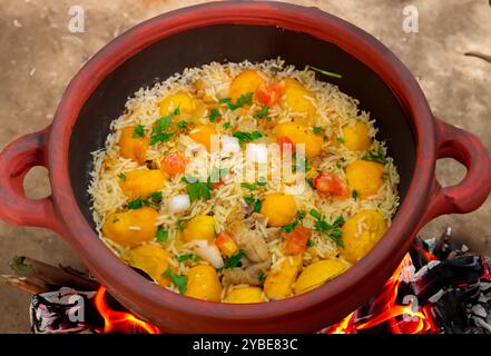 Piatto tradizionale brasiliano di pollo con pequi (caryocar brasiliense) e riso Foto Stock