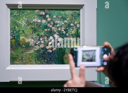 Scattare foto, Roses, 1889, Vincent Van Gogh (1853-1890), Poets & Lovers Exhibition, National Gallery, Londra, Regno Unito. Foto Stock