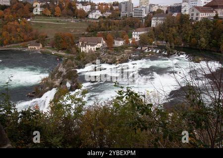 Vista delle cascate del Reno (Rheinfalls), la cascata più grande d'Europa. Svizzera, Neuhausen Foto Stock