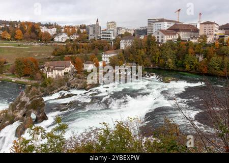 Vista delle cascate del Reno (Rheinfalls), la cascata più grande d'Europa. Svizzera, Neuhausen Foto Stock