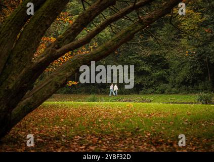 Scene autunnali all'Euromast Park, Rotterdam, Paesi Bassi, un paio di passeggiate sotto un albero con foglie d'arancio brillante nell'Euromast Park, circondato da un colorato paesaggio autunnale, Rotterdam, Paesi Bassi, il 18 ottobre 2024. Hedayatullah Amid / Rotterdam Paesi Bassi Copyright: XMatrixxImagesx/xHedayatullahxAmidx Foto Stock