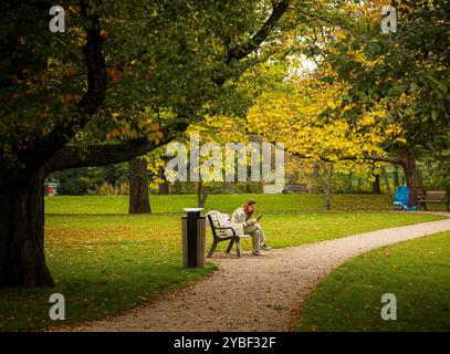 Scene autunnali all'Euromast Park di Rotterdam, Paesi Bassi Una donna siede su una panchina all'Euromast Park, controllando il suo telefono mentre è circondata da foglie autunnali di Rotterdam, Paesi Bassi, il 18 ottobre 2024. Hedayatullah Amid / Rotterdam Paesi Bassi Copyright: XMatrixxImagesx/xHedayatullahxAmidx Foto Stock