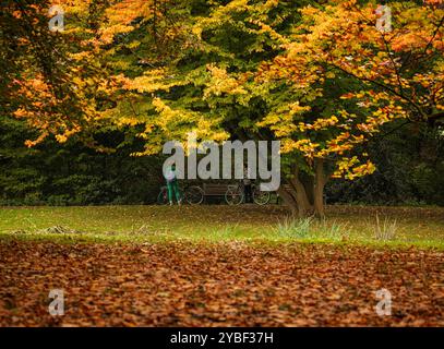 Le scene autunnali all'Euromast Park, Rotterdam, Paesi Bassi i ciclisti cavalcano sotto gli alberi all'Euromast Park, circondato da un colorato paesaggio autunnale, Rotterdam, Paesi Bassi, il 18 ottobre 2024. Hedayatullah Amid / Rotterdam Paesi Bassi Copyright: XMatrixxImagesx/xHedayatullahxAmidx Foto Stock